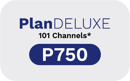 Streamtech Fiber Internet with Cable TV Plan Deluxe