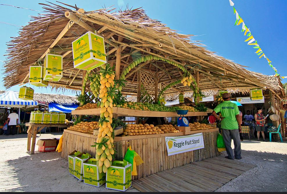 Economy of Guimaras - Mango - Streamtech Fiber Internet