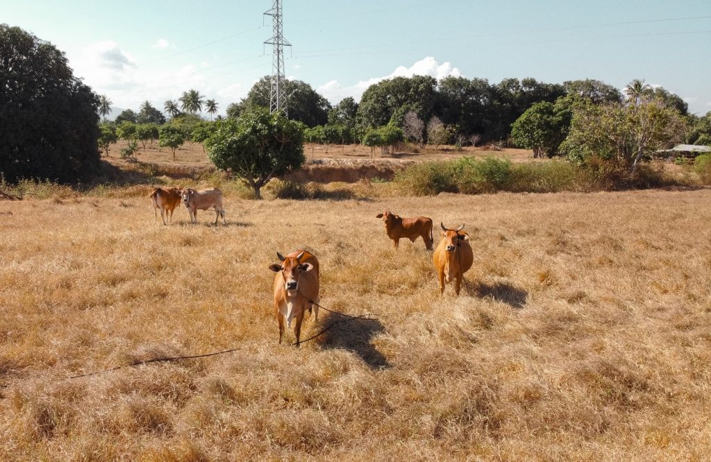 Topography - economy of quezon province - streamtech fiber internet