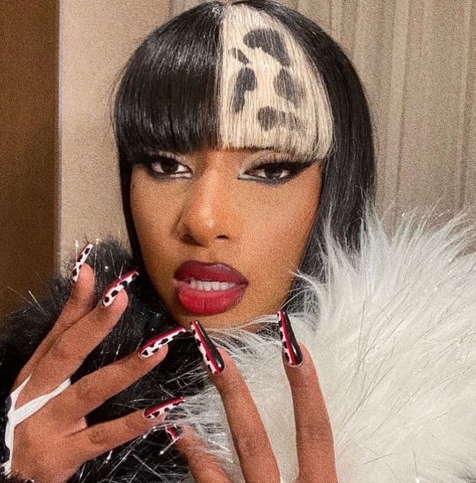 Megan thee stallion - halloween costumes - streamtech fiber internet